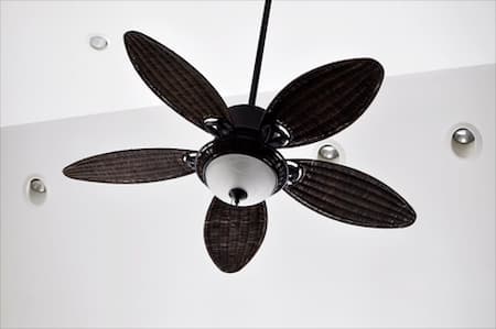 Ceiling Fans Thumbnail